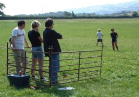 The Shepherd and Sheep Team Building Game  